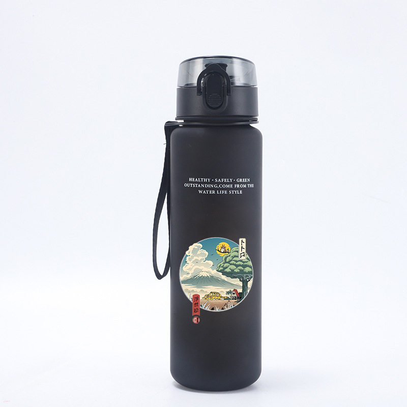 650ML Totoro Water Bottle Anim - đánh giá và giá Kitchen Appliances Large